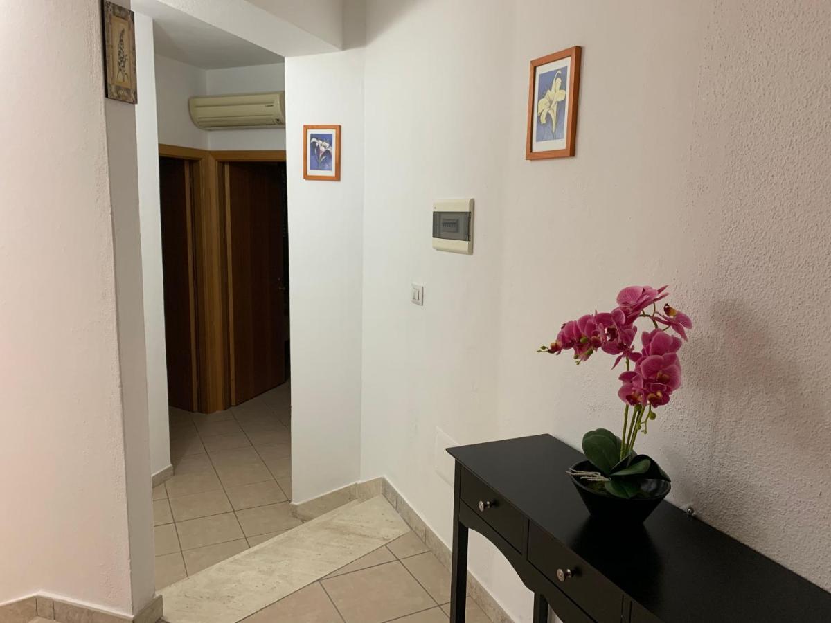奥罗塞伊Casa Ziu Juanne公寓 外观 照片